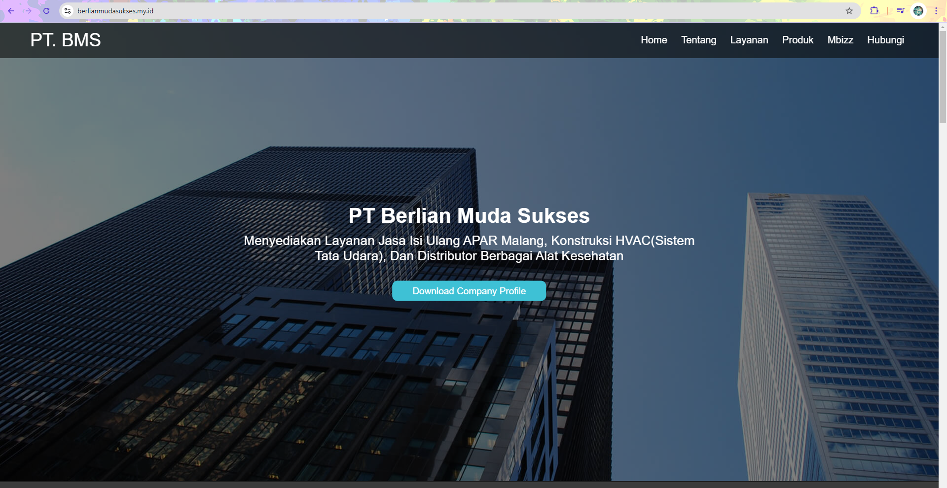 Website Company Profile Screenshot